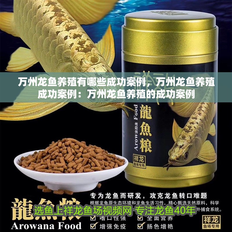 萬州龍魚養殖有哪些成功案例，萬州龍魚養殖成功案例：萬州龍魚養殖的成功案例