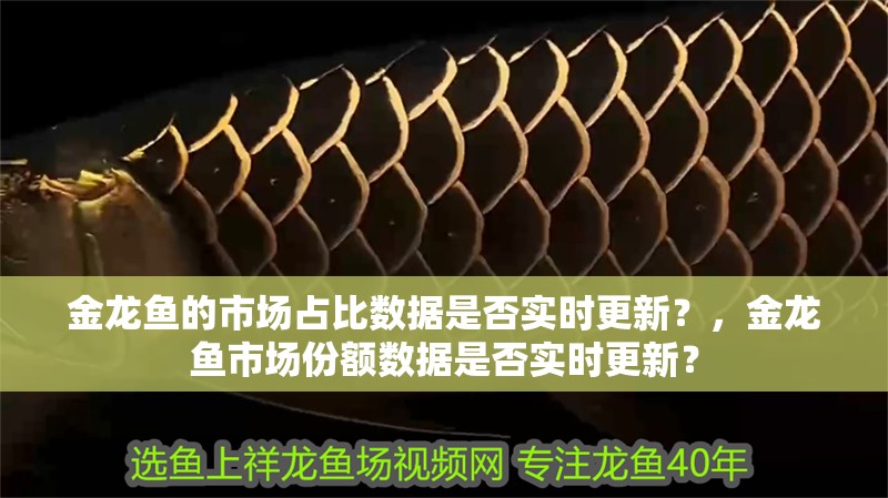 金龍魚的市場占比數(shù)據(jù)是否實(shí)時(shí)更新？，金龍魚市場份額數(shù)據(jù)是否實(shí)時(shí)更新？