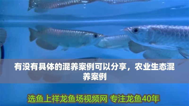 有沒有具體的混養案例可以分享，農業生態混養案例