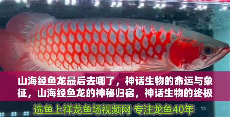 山海經魚龍最后去哪了，神話生物的命運與象征，山海經魚龍的神秘歸宿，神話生物的終極命運與象征意義