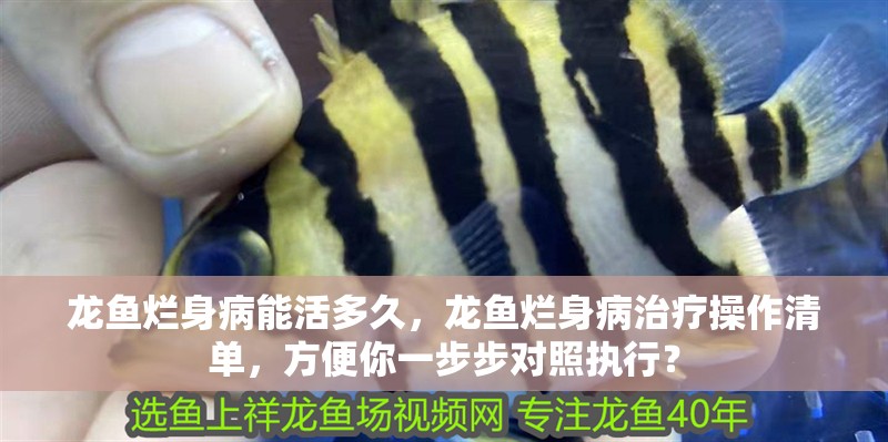龍魚爛身病能活多久，龍魚爛身病治療操作清單，方便你一步步對照執(zhí)行？