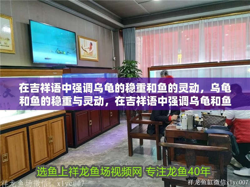 在吉祥語中強調烏龜的穩重和魚的靈動，烏龜和魚的穩重與靈動，在吉祥語中強調烏龜和魚的靈動