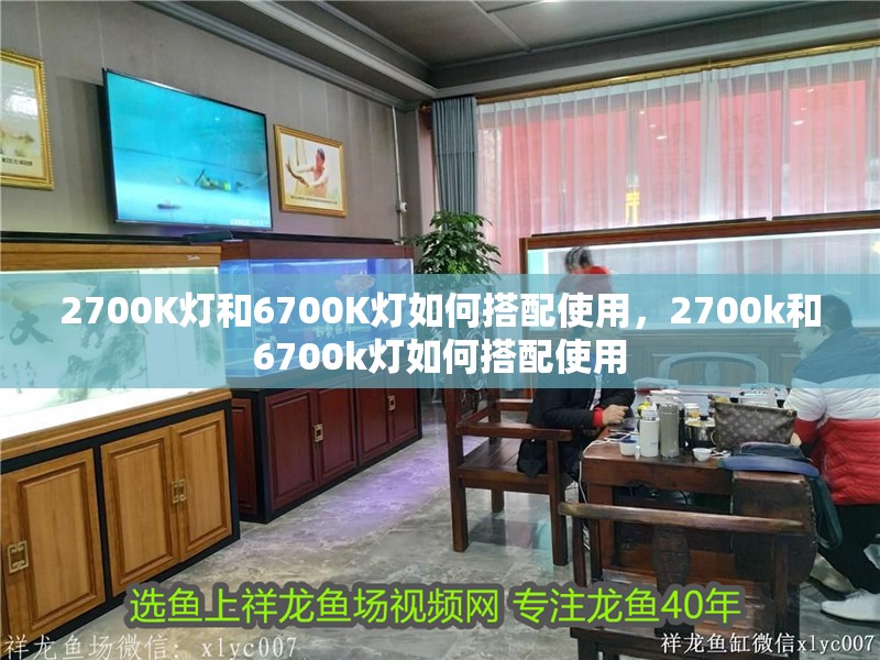 2700K燈和6700K燈如何搭配使用，2700k和6700k燈如何搭配使用