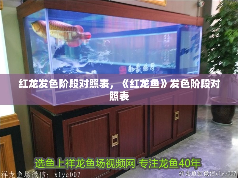 紅龍發(fā)色階段對照表，《紅龍魚》發(fā)色階段對照表