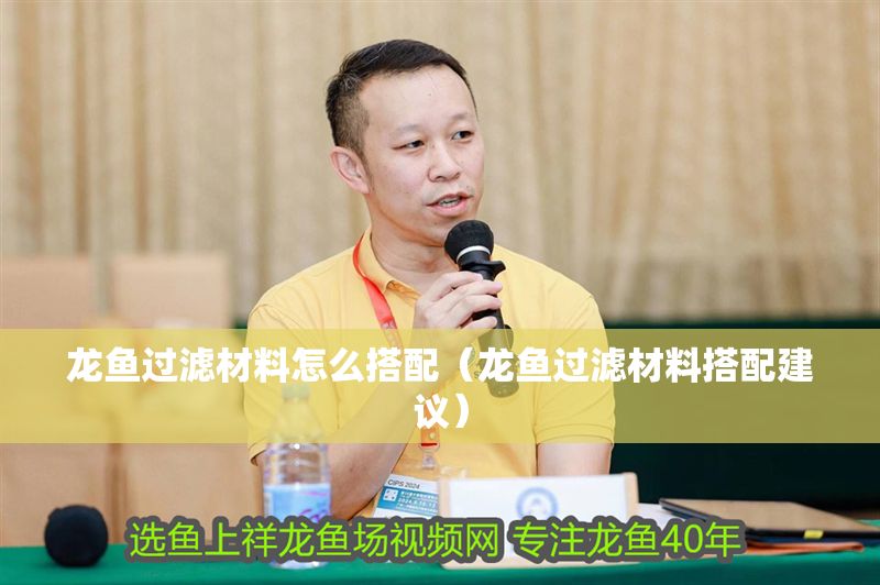 龍魚過濾材料怎么搭配（龍魚過濾材料搭配建議） 龍魚過濾材料怎么搭配（龍魚過濾材料搭配建議） 龍魚百科 第2張