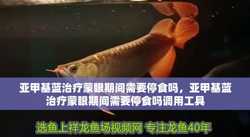亞甲基藍治療蒙眼期間需要停食嗎，亞甲基藍治療蒙眼期間需要停食嗎調(diào)用工具