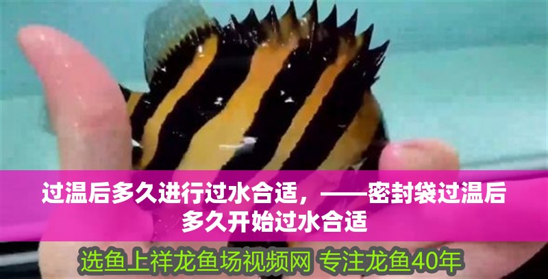 過溫后多久進行過水合適，——密封袋過溫后多久開始過水合適