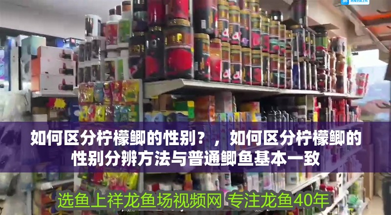 如何區分檸檬鯽的性別？，如何區分檸檬鯽的性別分辨方法與普通鯽魚基本一致
