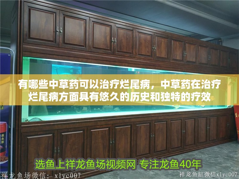 有哪些中草藥可以治療爛尾病，中草藥在治療爛尾病方面具有悠久的歷史和獨特的療效