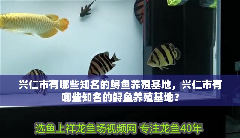 興仁市有哪些知名的鱘魚養殖基地，興仁市有哪些知名的鱘魚養殖基地？