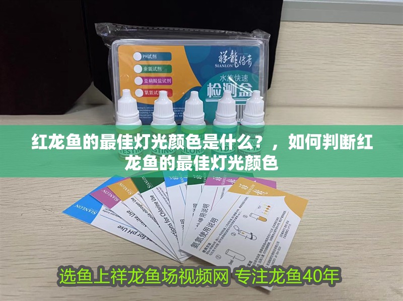 紅龍魚的最佳燈光顏色是什么？，如何判斷紅龍魚的最佳燈光顏色