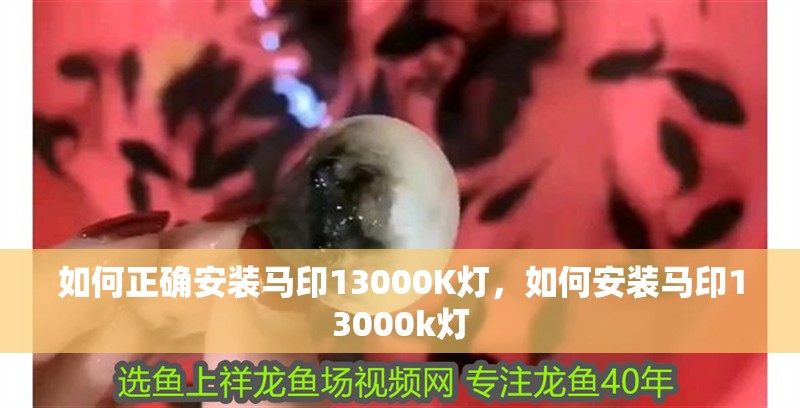 如何正確安裝馬印13000K燈，如何安裝馬印13000k燈