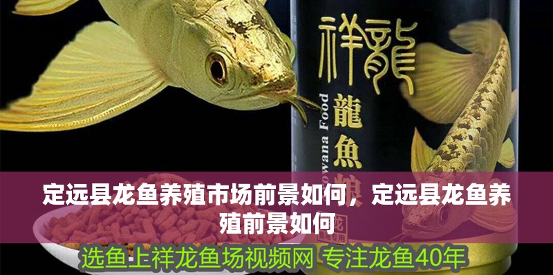 定遠縣龍魚養殖市場前景如何，定遠縣龍魚養殖前景如何
