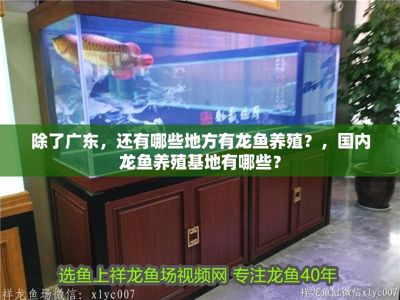 除了廣東，還有哪些地方有龍魚養殖？，國內龍魚養殖基地有哪些？