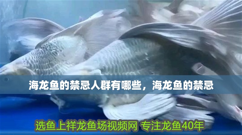 海龍魚的禁忌人群有哪些，海龍魚的禁忌