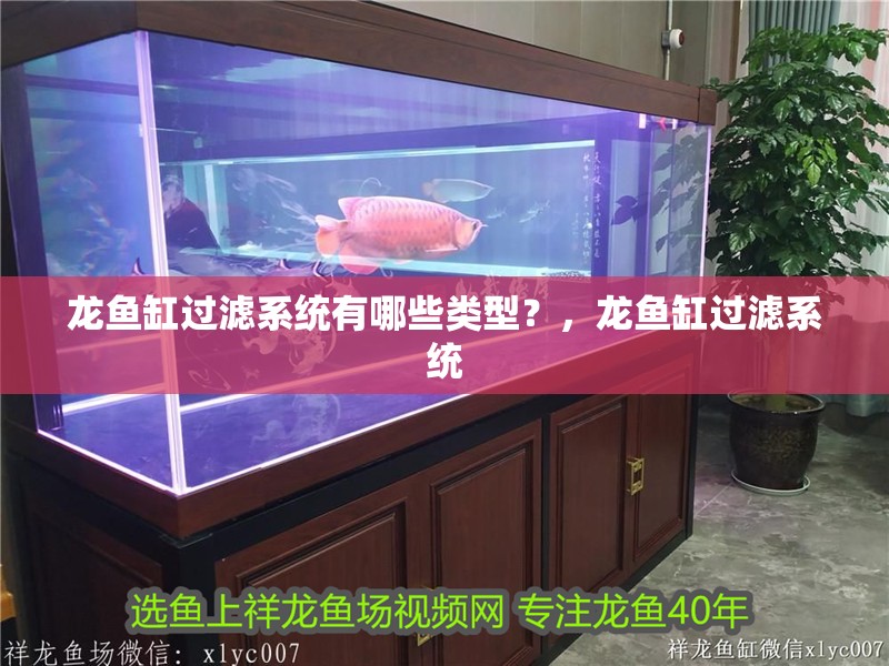 龍魚缸過濾系統(tǒng)有哪些類型？，龍魚缸過濾系統(tǒng)