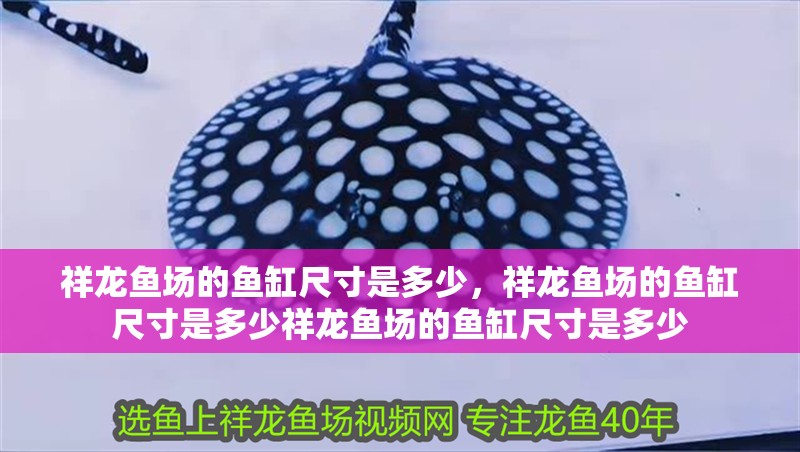 祥龍魚場的魚缸尺寸是多少，祥龍魚場的魚缸尺寸是多少祥龍魚場的魚缸尺寸是多少
