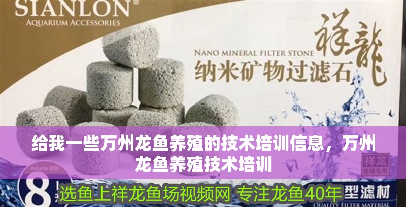 給我一些萬州龍魚養殖的技術培訓信息,萬州龍魚養殖技術培訓
