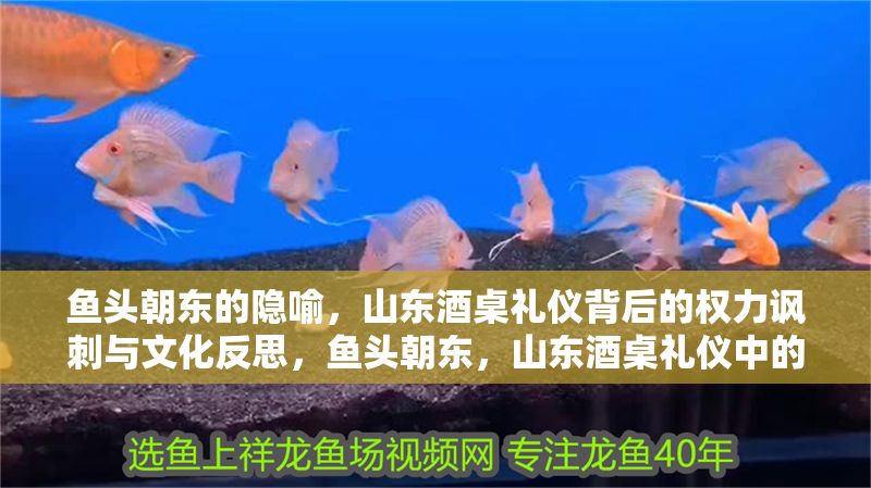 魚頭朝東的隱喻，山東酒桌禮儀背后的權(quán)力諷刺與文化反思，魚頭朝東，山東酒桌禮儀中的權(quán)力隱喻與文化批判