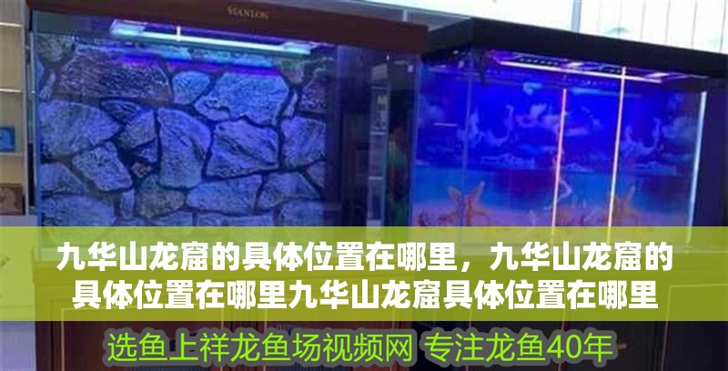 九華山龍窟的具體位置在哪里，九華山龍窟的具體位置在哪里九華山龍窟具體位置在哪里