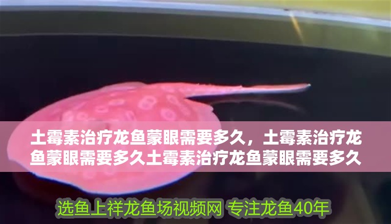 土霉素治療龍魚蒙眼需要多久,土霉素治療龍魚蒙眼需要多久土霉素治療龍魚蒙眼需要多久