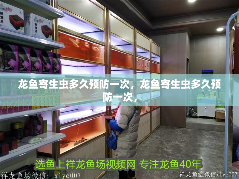 龍魚寄生蟲多久預防一次，龍魚寄生蟲多久預防一次，