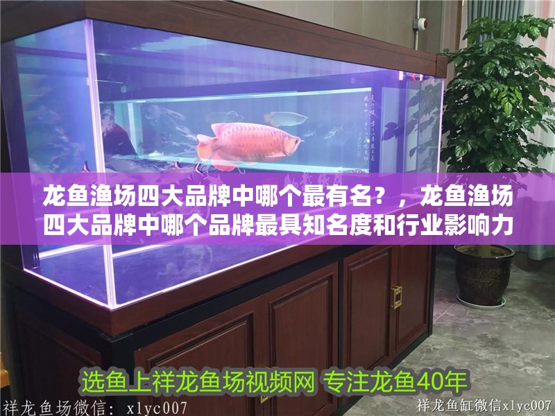 龍魚漁場四大品牌中哪個最有名?,龍魚漁場四大品牌中哪個品牌最具知名度和行業影響力