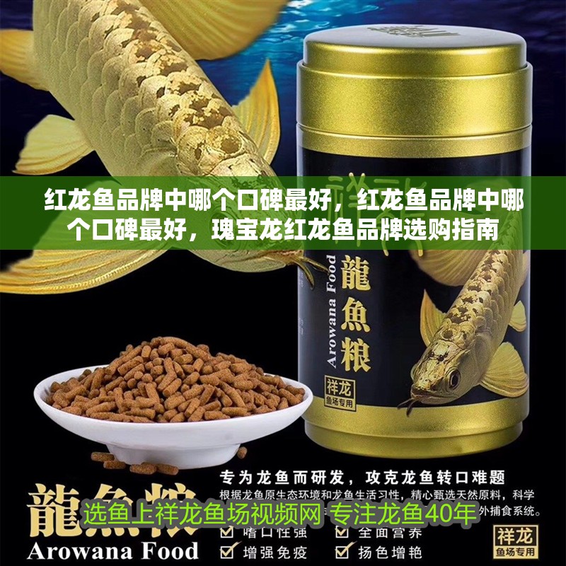 紅龍魚品牌中哪個口碑最好，紅龍魚品牌中哪個口碑最好，瑰寶龍紅龍魚品牌選購指南