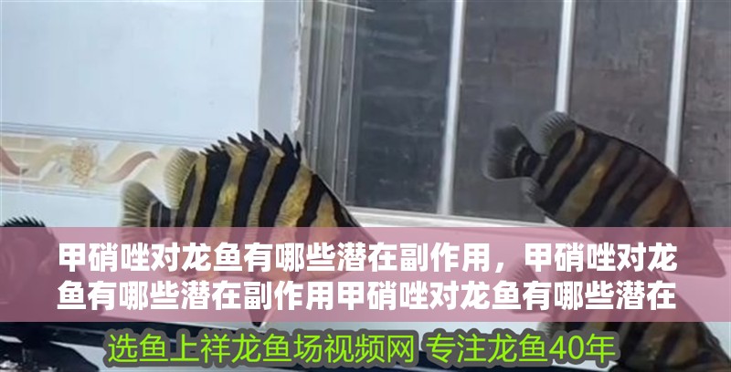 甲硝唑?qū)堲~有哪些潛在副作用，甲硝唑?qū)堲~有哪些潛在副作用甲硝唑?qū)堲~有哪些潛在副作用