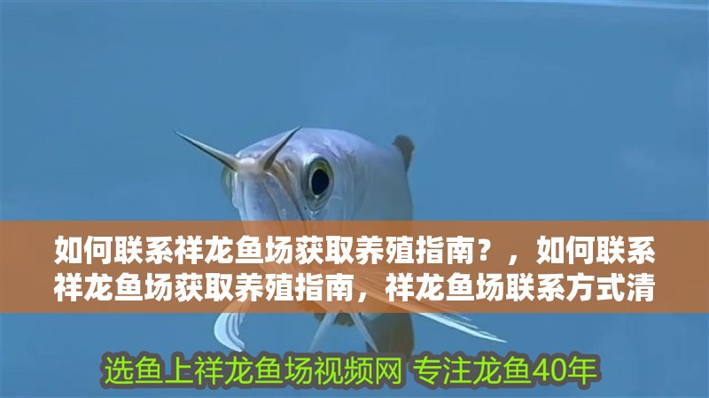 如何聯(lián)系祥龍魚場(chǎng)獲取養(yǎng)殖指南？，如何聯(lián)系祥龍魚場(chǎng)獲取養(yǎng)殖指南，祥龍魚場(chǎng)聯(lián)系方式清單