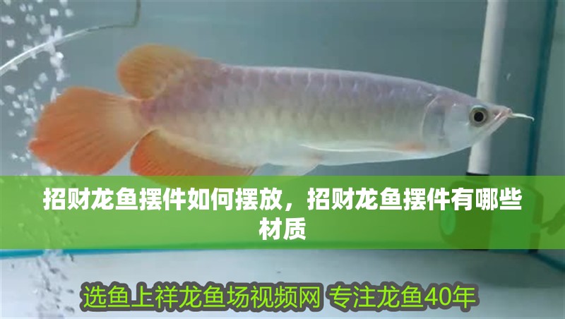 招財龍魚擺件如何擺放，招財龍魚擺件有哪些材質