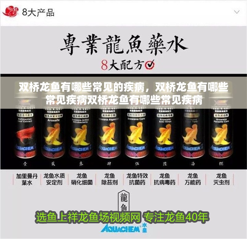 雙橋龍魚有哪些常見的疾病，雙橋龍魚有哪些常見疾病雙橋龍魚有哪些常見疾病