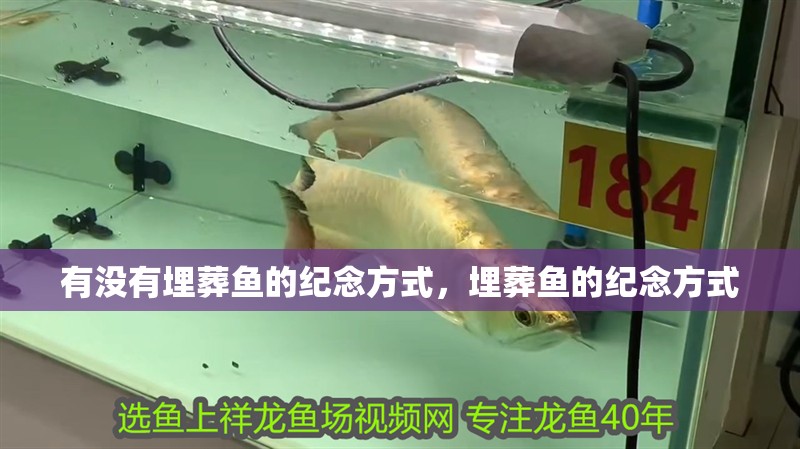 有沒(méi)有埋葬魚(yú)的紀(jì)念方式，埋葬魚(yú)的紀(jì)念方式
