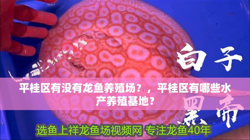 平桂區有沒有龍魚養殖場？，平桂區有哪些水產養殖基地？