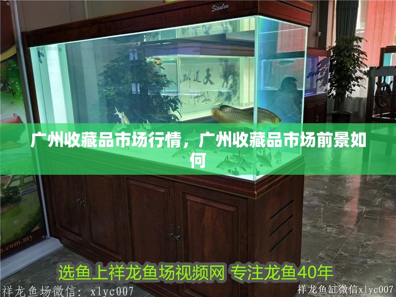 廣州收藏品市場行情,廣州收藏品市場前景如何