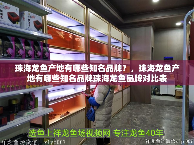 珠海龍魚產地有哪些知名品牌？，珠海龍魚產地有哪些知名品牌珠海龍魚品牌對比表