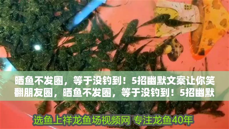 曬魚不發圈，等于沒釣到！5招幽默文案讓你笑翻朋友圈，曬魚不發圈，等于沒釣到！5招幽默文案讓你笑翻朋友圈