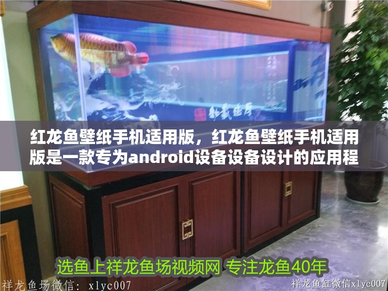 紅龍魚壁紙手機適用版，紅龍魚壁紙手機適用版是一款專為android設備設備設計的應用程序