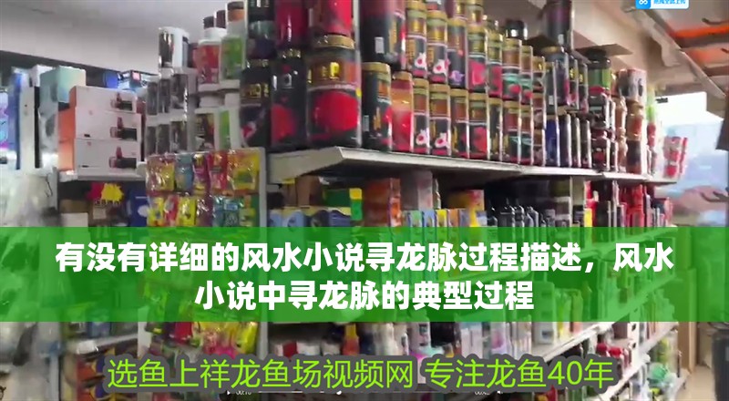 有沒有詳細的風水小說尋龍脈過程描述，風水小說中尋龍脈的典型過程