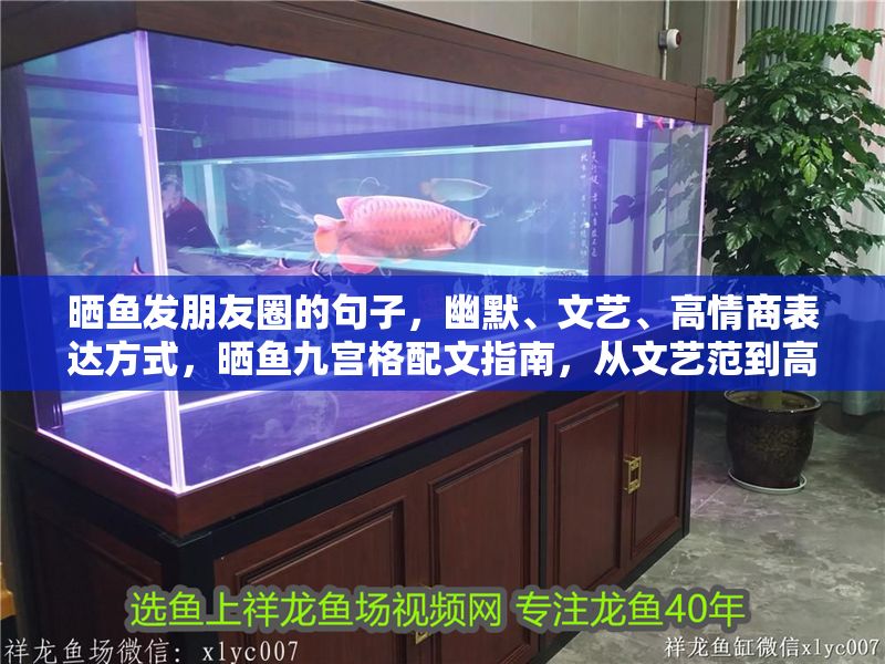 曬魚發朋友圈的句子，幽默、文藝、高情商表達方式，曬魚九宮格配文指南，從文藝范到高情商的幽默表達