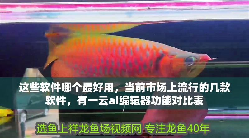 這些軟件哪個最好用，當前市場上流行的幾款軟件，有一云ai編輯器功能對比表