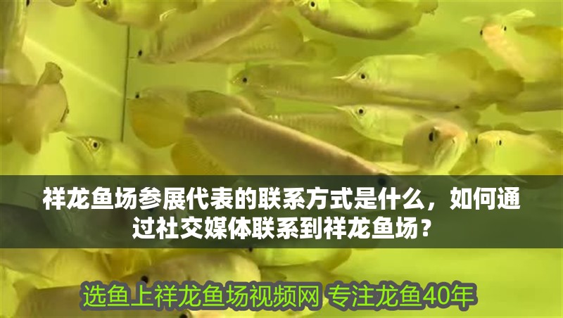 祥龍魚(yú)場(chǎng)參展代表的聯(lián)系方式是什么，如何通過(guò)社交媒體聯(lián)系到祥龍魚(yú)場(chǎng)？