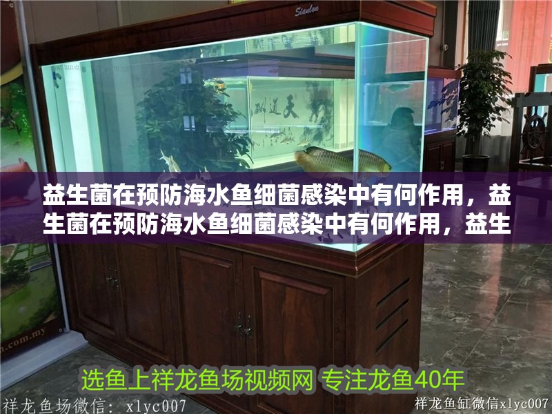 益生菌在預防海水魚細菌感染中有何作用，益生菌在預防海水魚細菌感染中有何作用，益生菌在預防中的作用