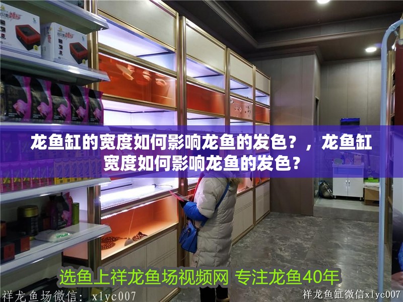 龍魚缸的寬度如何影響龍魚的發色？，龍魚缸寬度如何影響龍魚的發色？