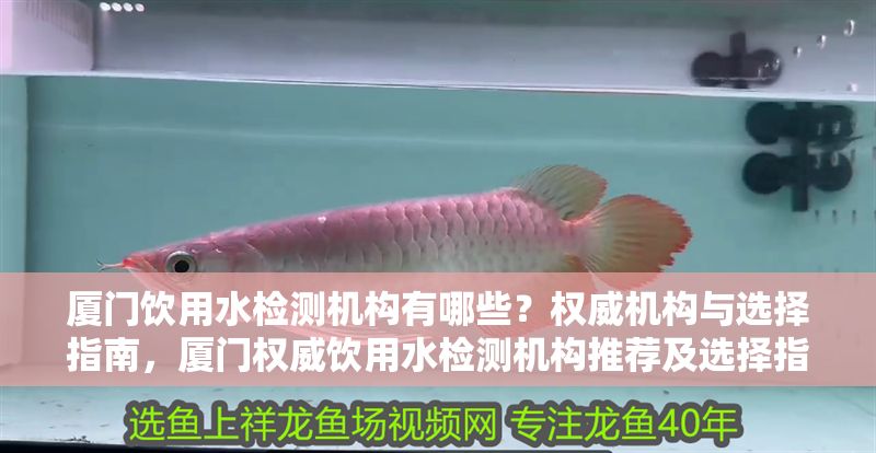 廈門飲用水檢測機構有哪些？權威機構與選擇指南，廈門權威飲用水檢測機構推薦及選擇指南