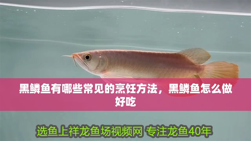 黑鱗魚有哪些常見的烹飪方法，黑鱗魚怎么做好吃