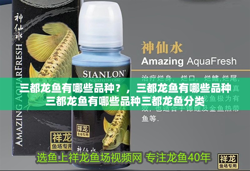 三都龍魚有哪些品種?,三都龍魚有哪些品種三都龍魚有哪些品種三都龍魚分類