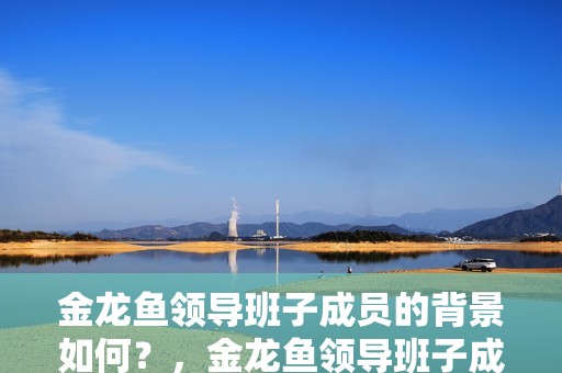 金龍魚領導班子成員的背景如何？，金龍魚領導班子成員的背景