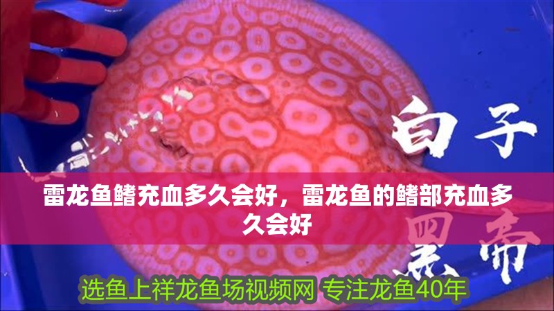 雷龍魚鰭充血多久會好，雷龍魚的鰭部充血多久會好