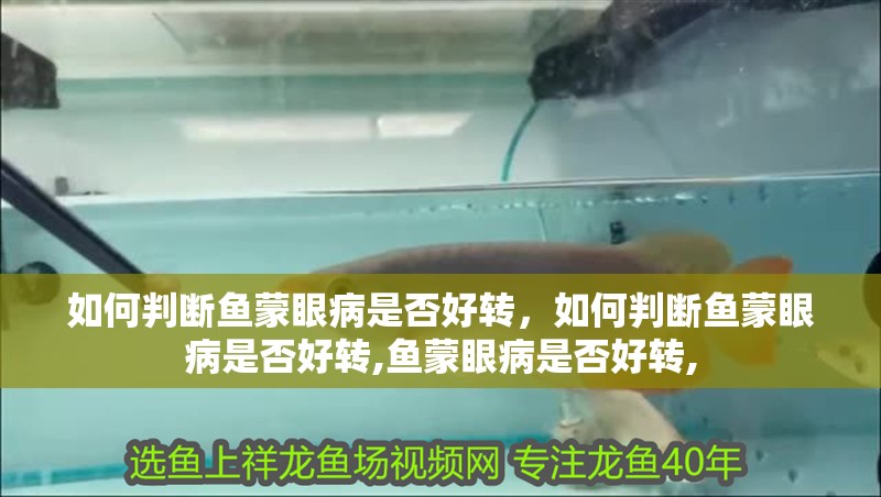 如何判斷魚蒙眼病是否好轉，如何判斷魚蒙眼病是否好轉,魚蒙眼病是否好轉,